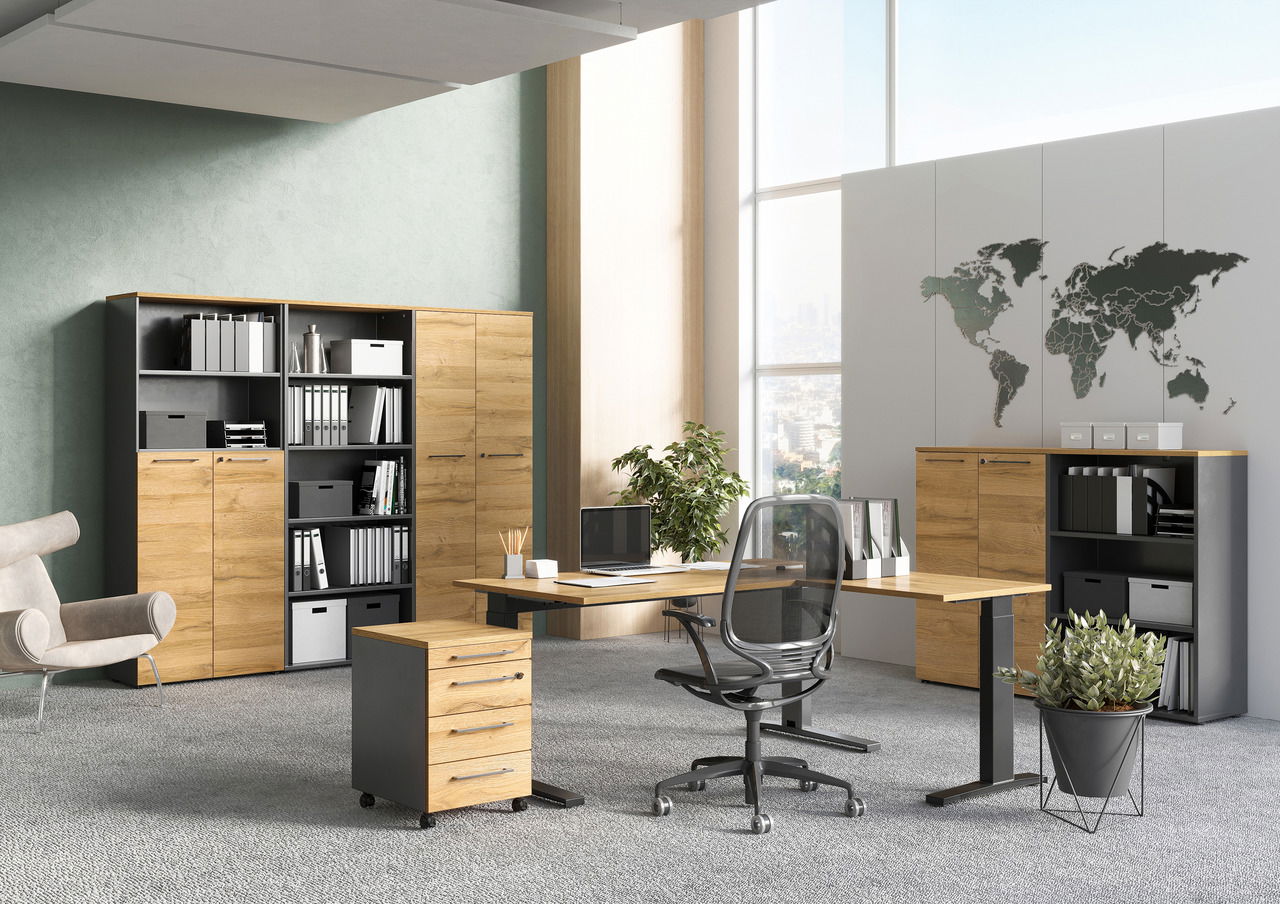 MID.YOU Aktenschrank AGENDA HOME