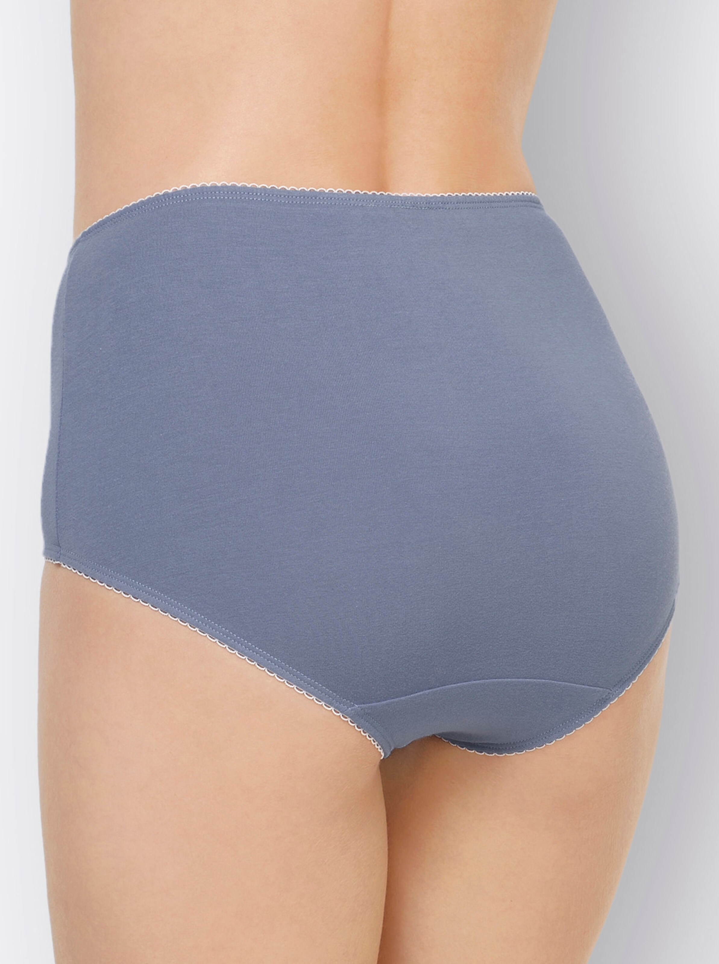 wäschepur Taillenslip in 2x hellrosé-bedruckt + hellrosé + taubenblau