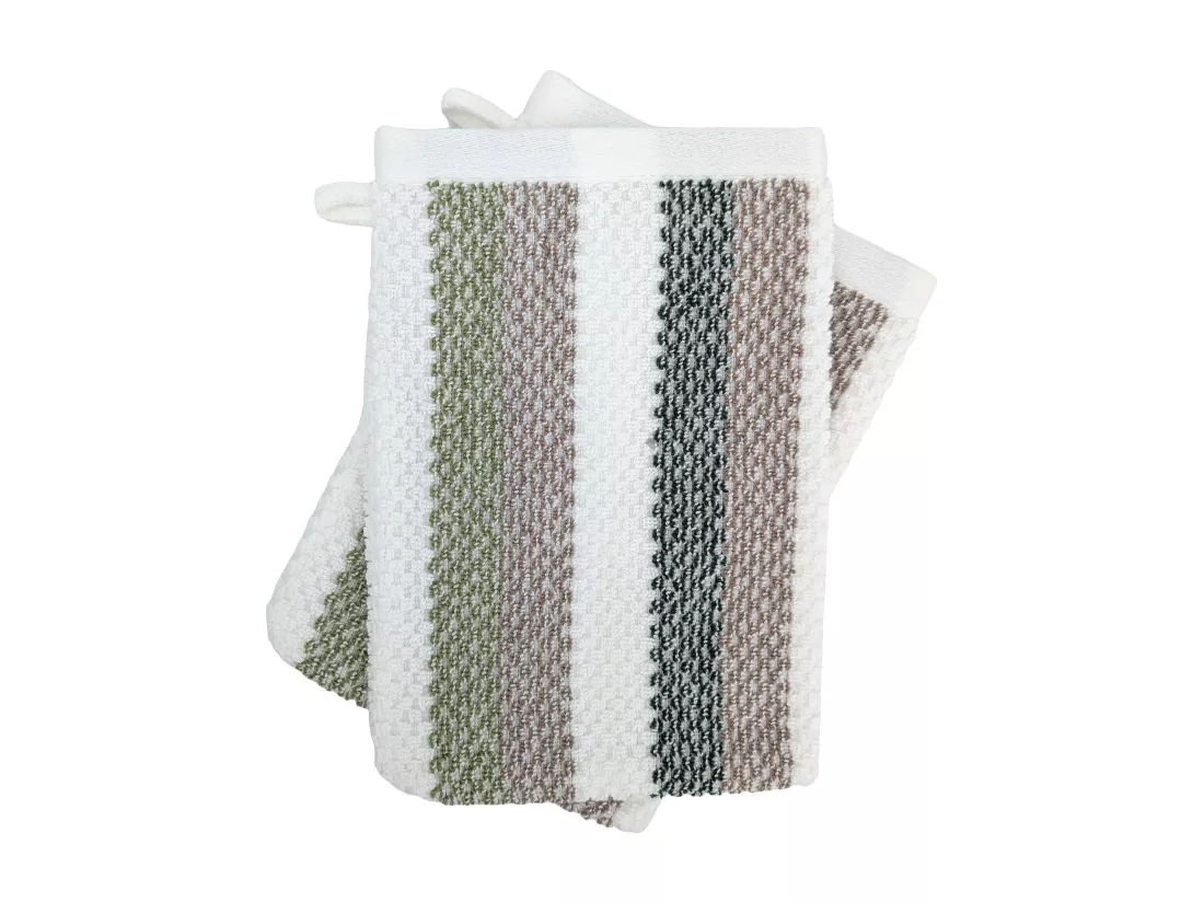 Lot de 2 gants de toilette 16x21 cm coton collection VISTA blanc vert