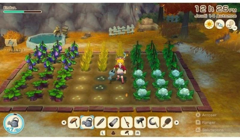 Story of Seasons - Grand Bazaar - Nintendo Switch Game