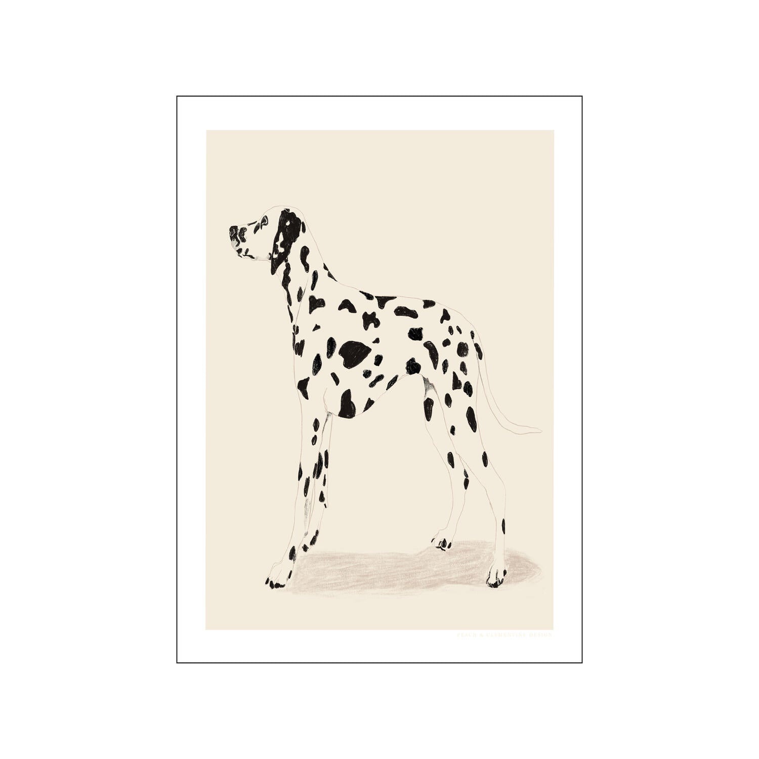 Poster & Frame  Dalmation plakat - 50 x 70 cm