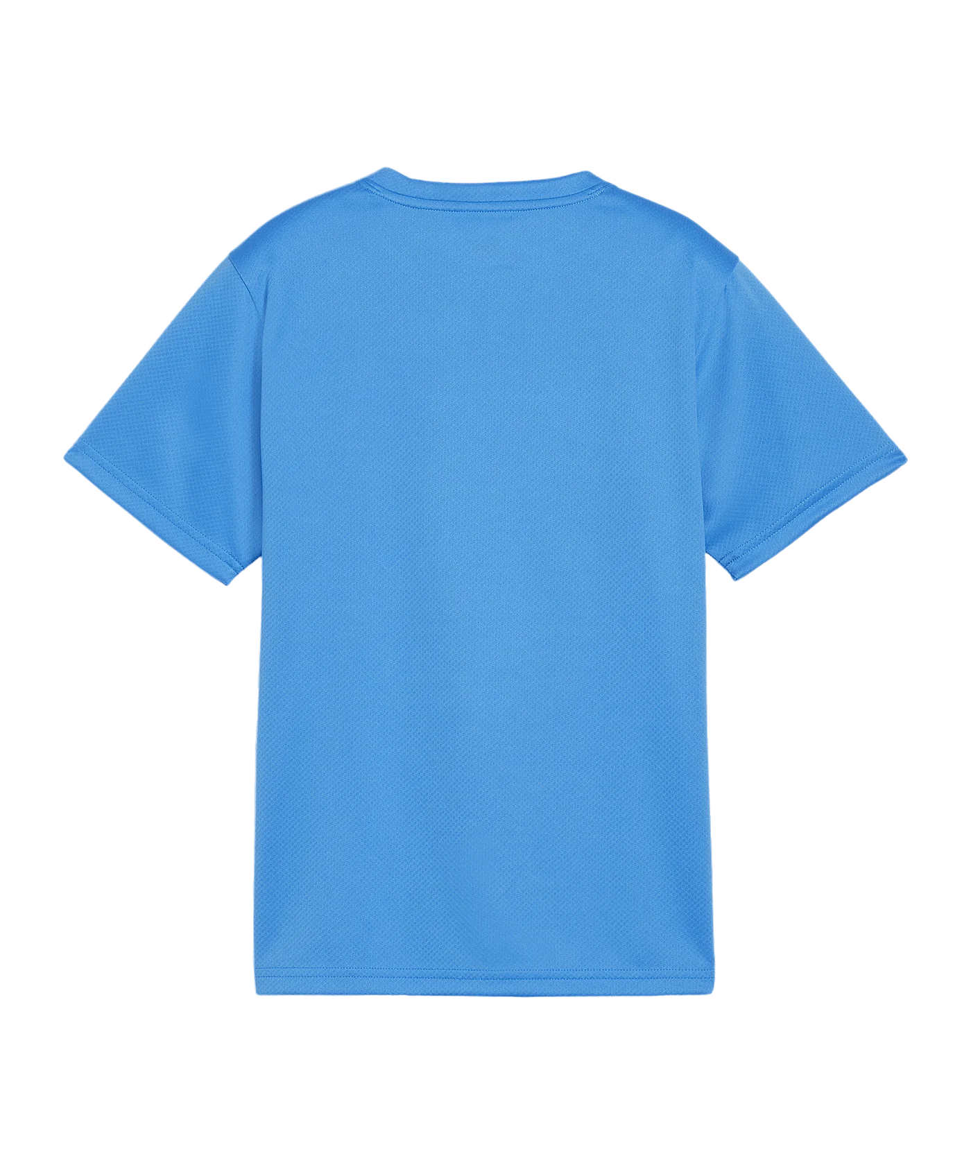 PUMA teamGOAL Trikot Kids Blau F02