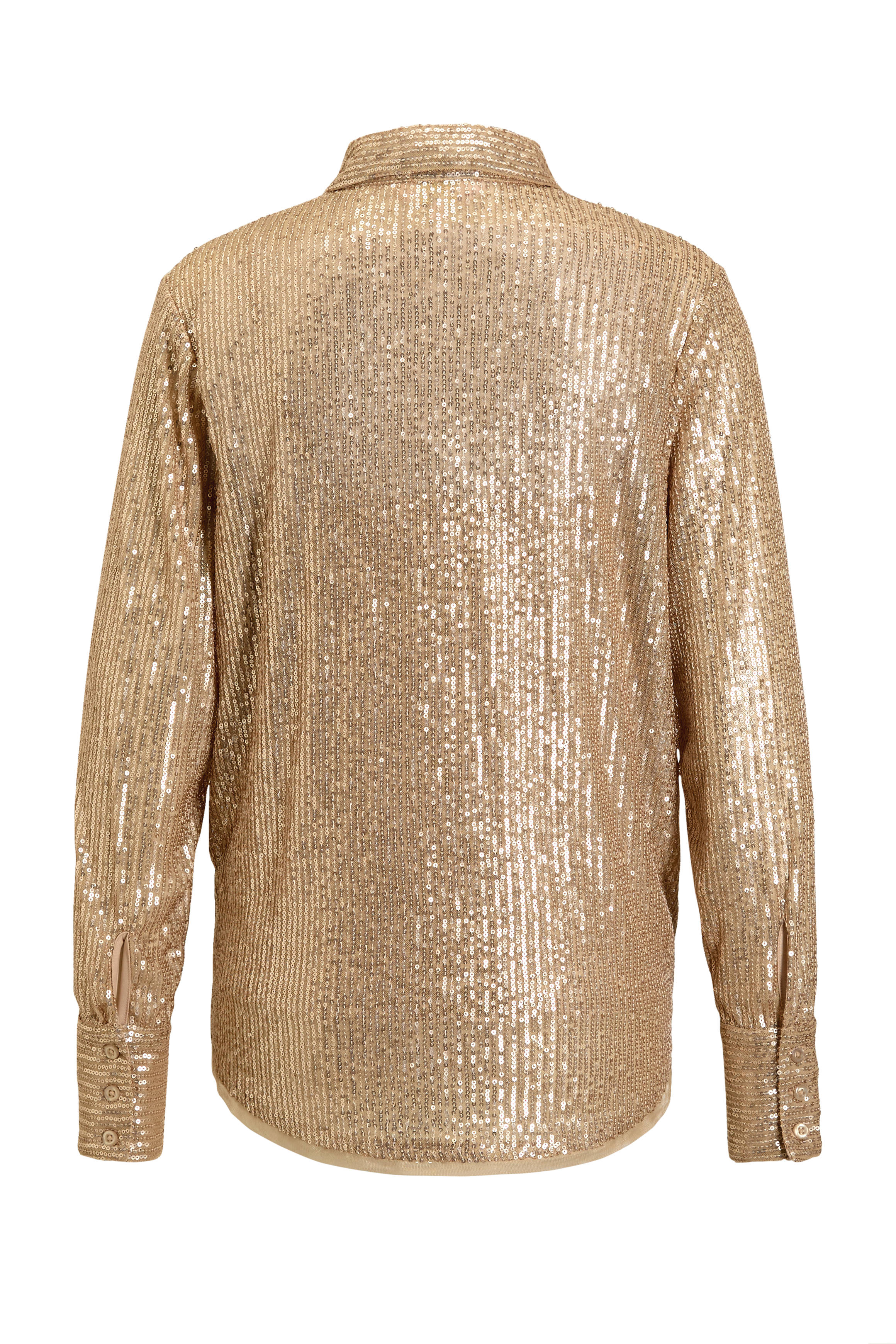 Ruby pailletten blouse goud