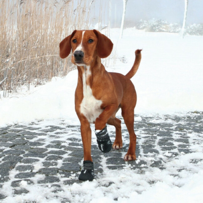Paire de bottes de protection Walker Active Trixie pour chiens