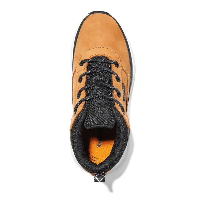 Timberland Field Trekker Low Sneakers Junior