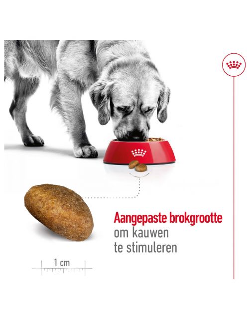 Royal Canin Maxi Adult - Hondenvoer