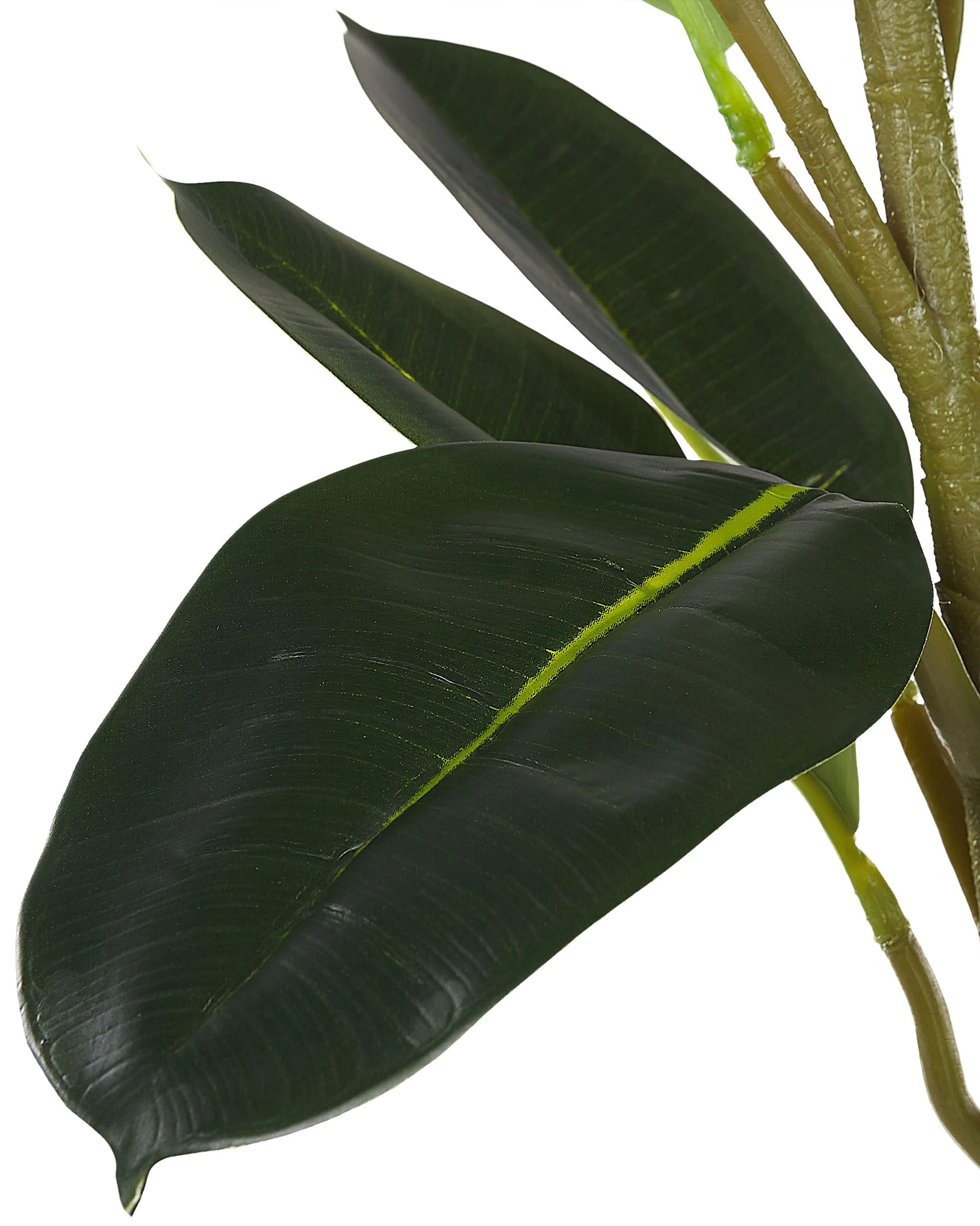 Kunstplant FICUS ELASTICA 134 cm Groen