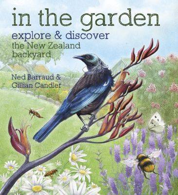 In the Garden: Explore & Discover the New Zealand Backyard (Paperback)