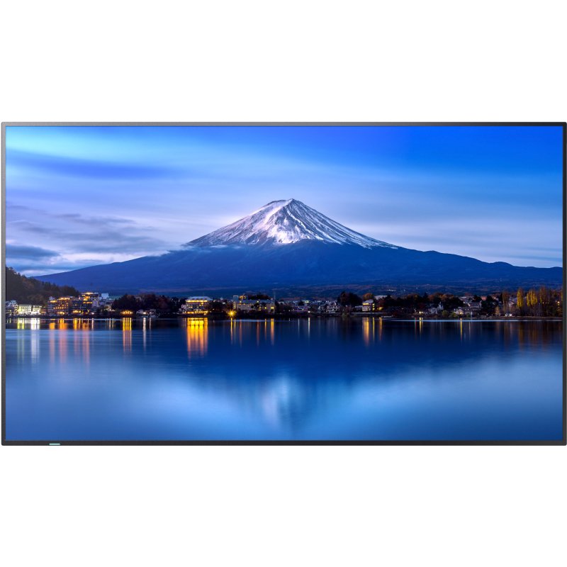 Sharp MultiSync P656 En forme de kiosk 163,8 cm (64.5