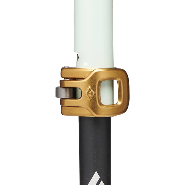 Bâton ski de randonnée BLACK DIAMOND TRAVERSE PRO SKI POLES FOAM FOAM GREEN