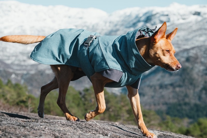 Hurtta Expedition varmedekken<br>Supert varmedekken til hund!