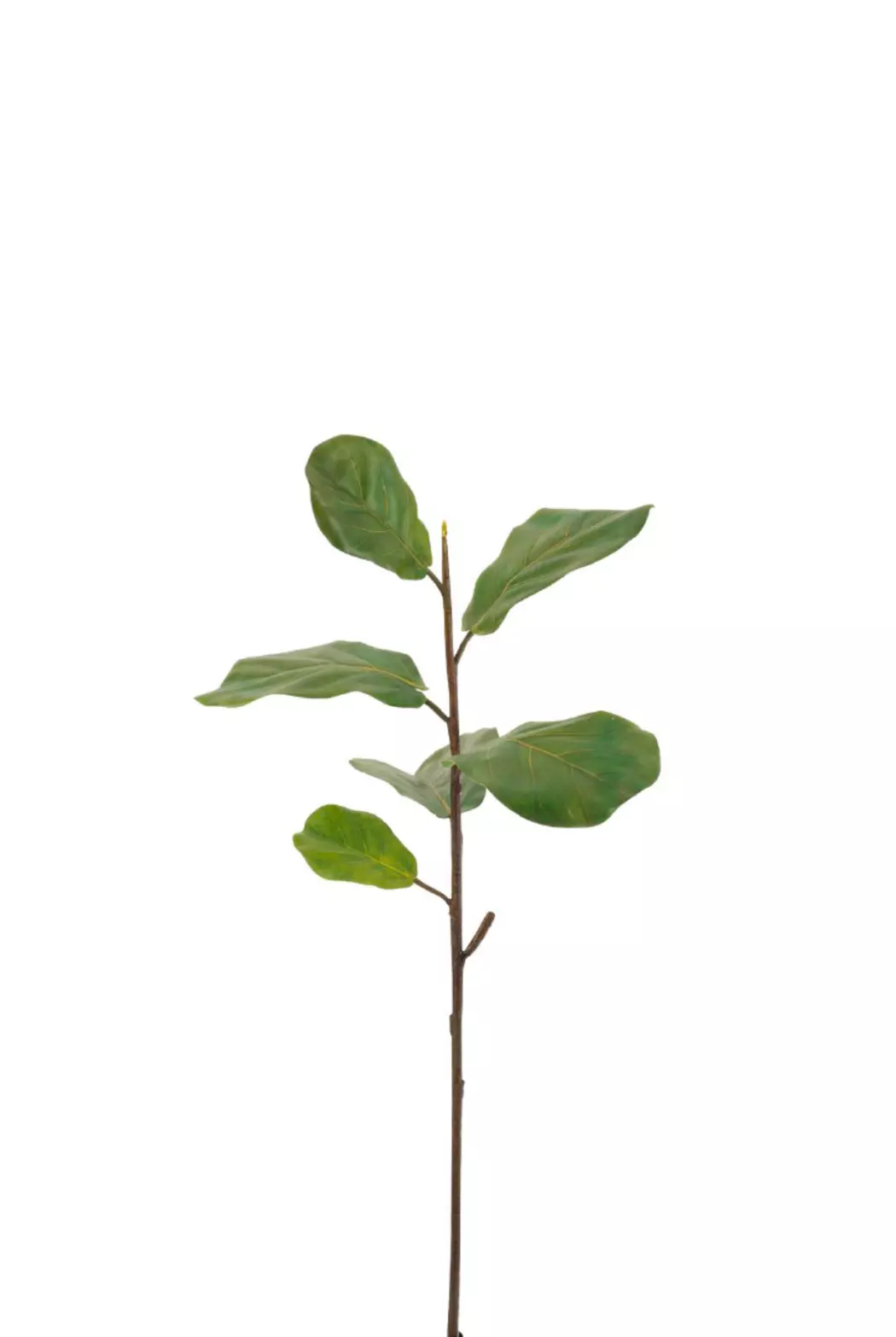 Deko-Zweig Feigenbaum 84 cm