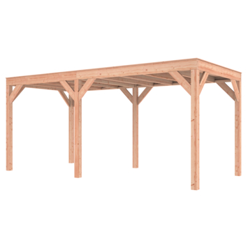 Overkapping Douglas 545x255cm a-symmetrisch