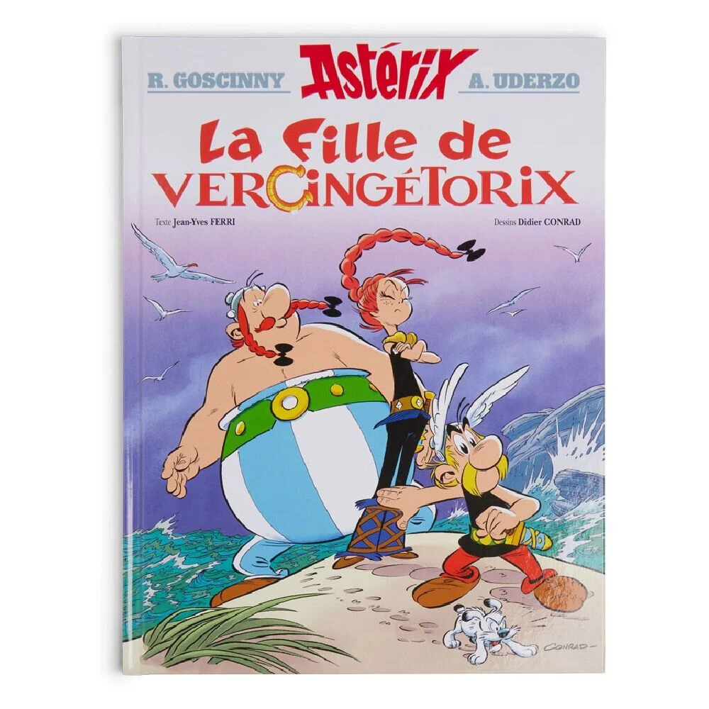 Livre la fille de Vercingétorix