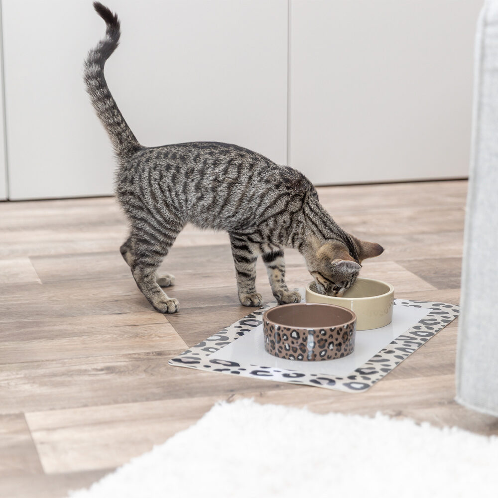 Trixe Placemat Leo