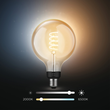 Philips Hue globe E27 white ambiance
