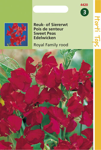 Hortitops Reuk- of Siererwt Royal Rood - Bloemzaden