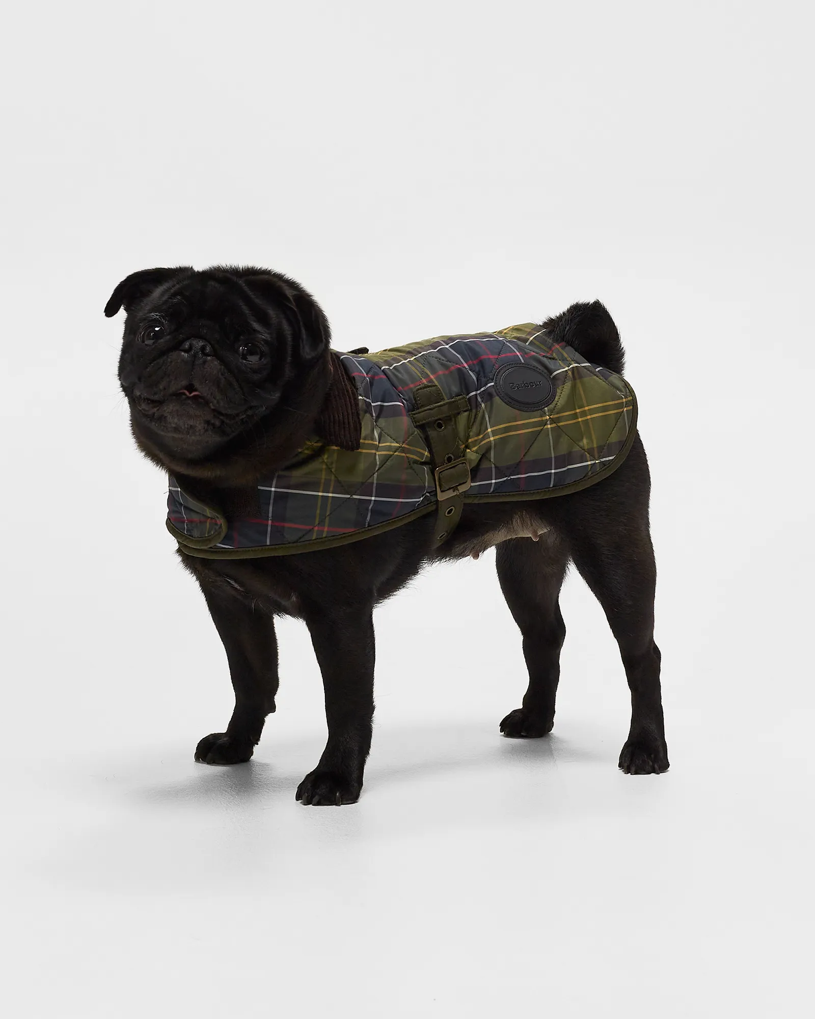 Barbour Tartan Dog Coat