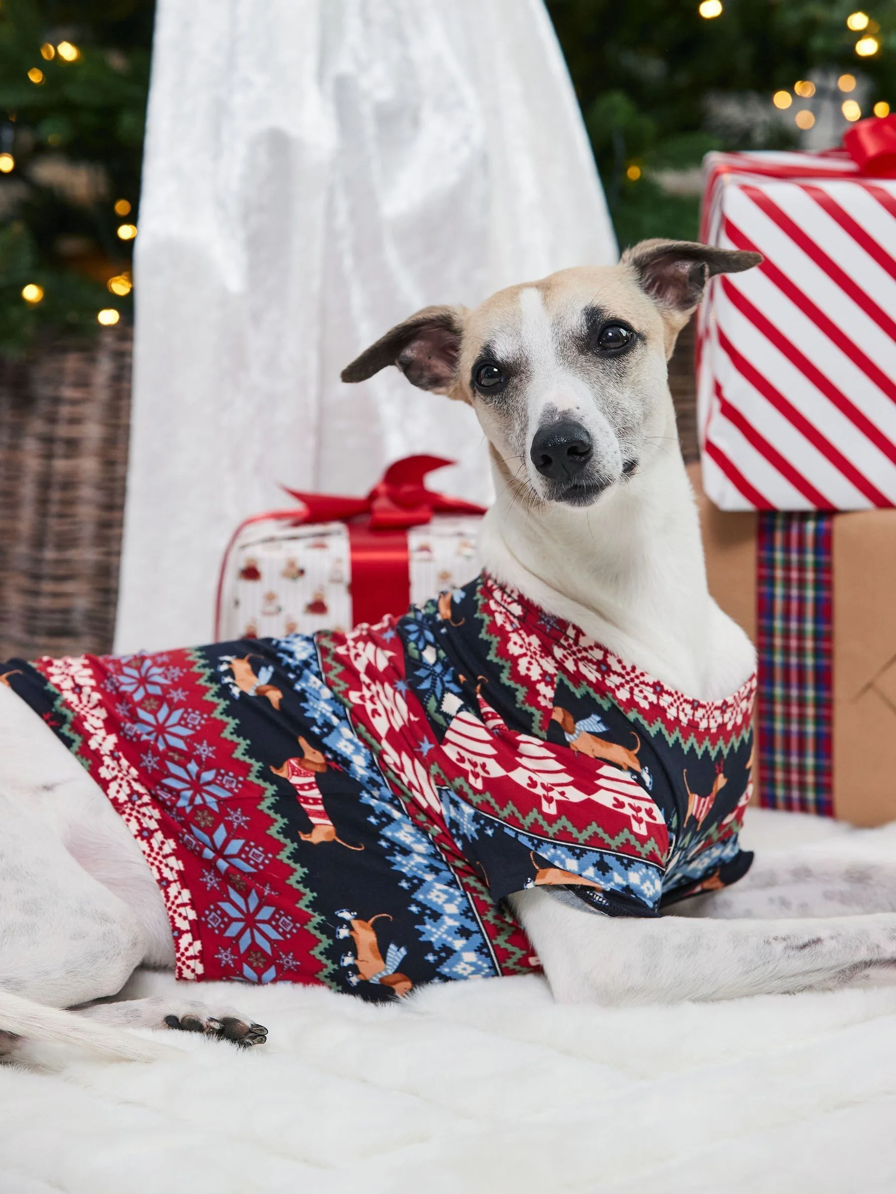 Chelsea Peers Kerstmis Pyjama T-shirt met Fair Isle print en hondenprint