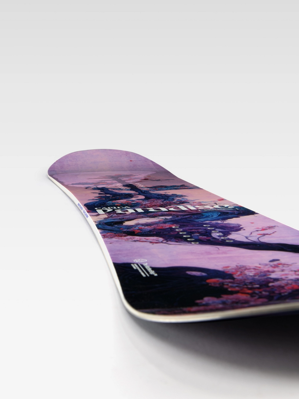 CAPiTA Paradise 2025 Snowboard multi