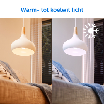 Philips smart LED globe color E27 100W