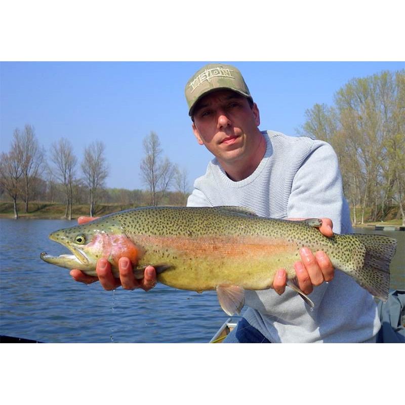 Guide Truite Mouche Réservoir Mickael Miclet