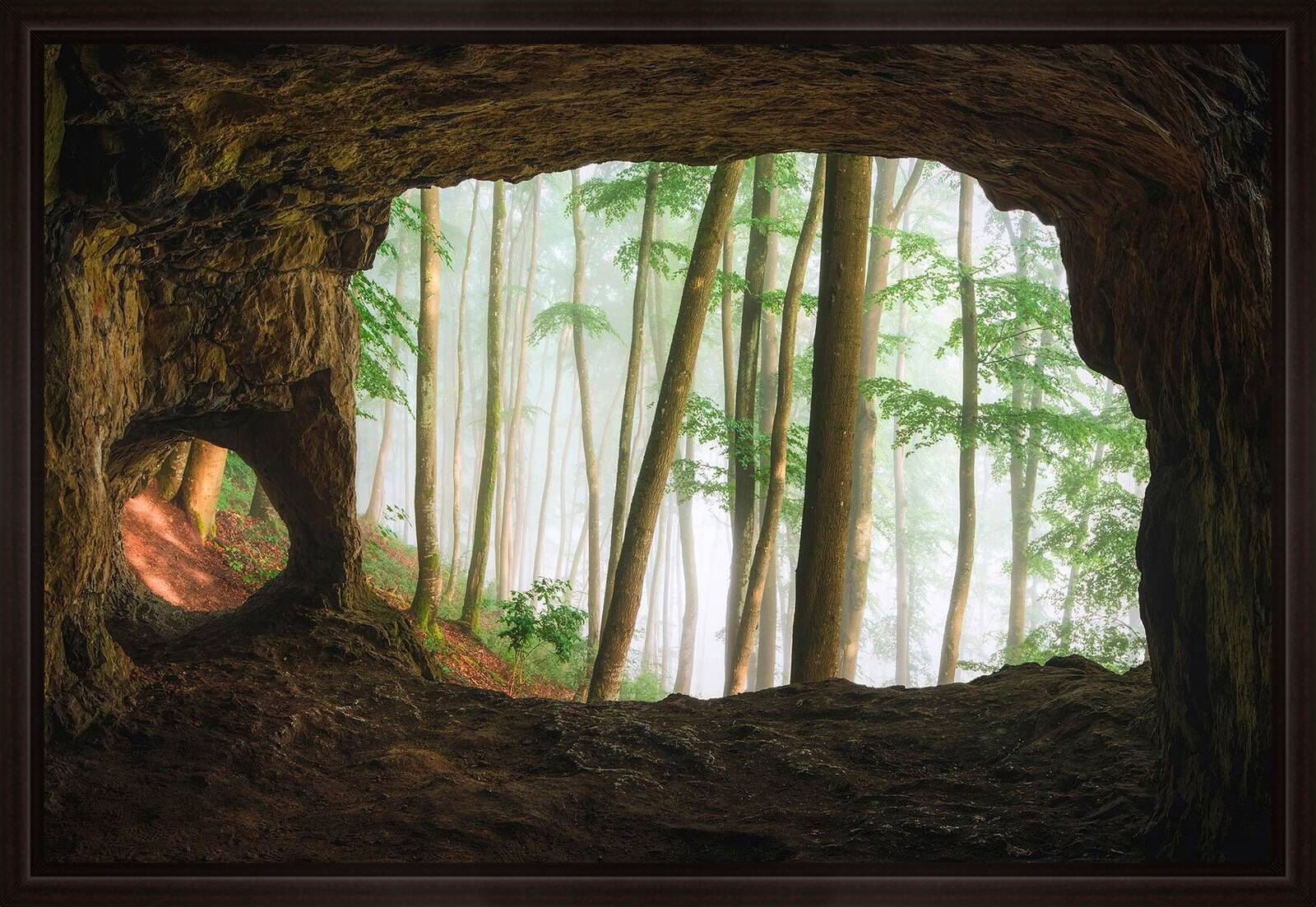 Natural Cinema by Kilian Schönberger - Limited Edition. Edition of: 150. Signed.