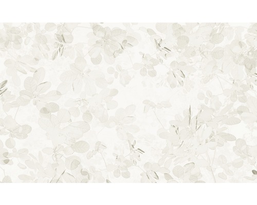 Fotobehang vliesbehang 6019B-VD4 Infinity Sheer Grijs 4-delig 400x250cm