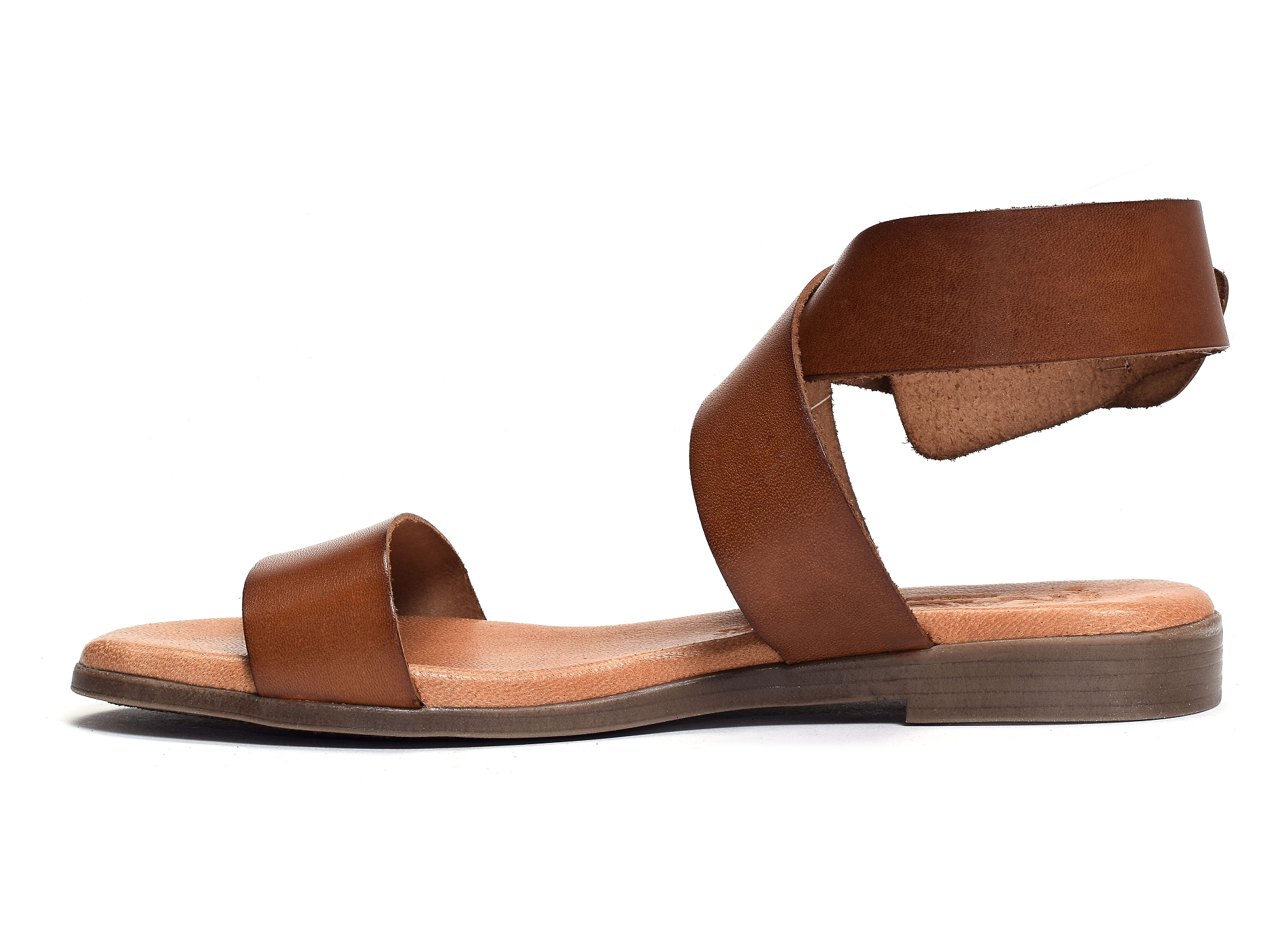 1359 camel