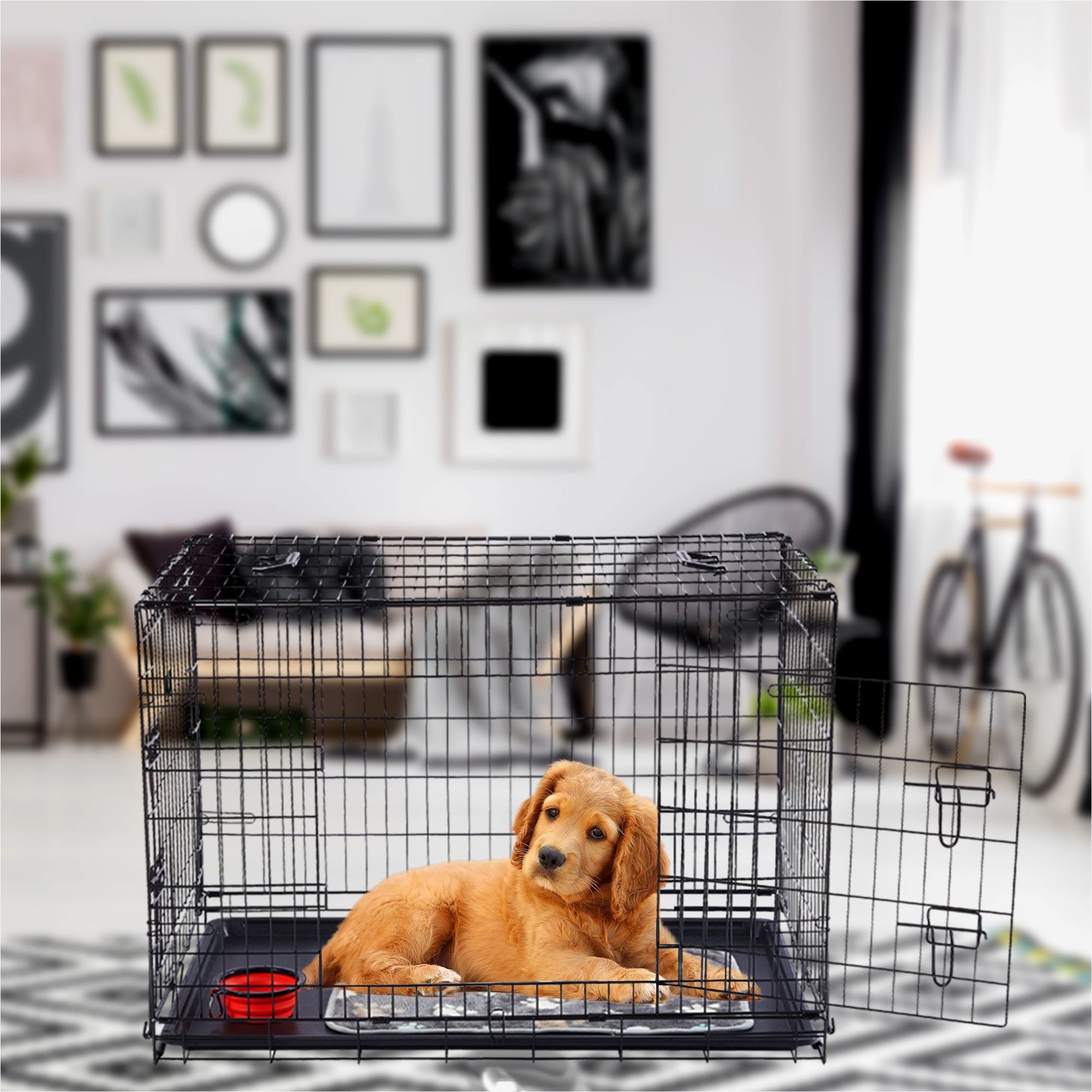 Hundekäfig klappbar 36