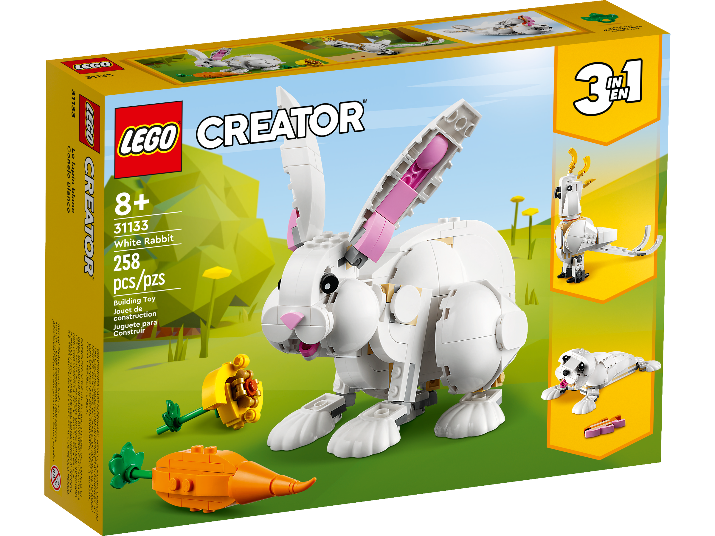 Coelho Branco 31133