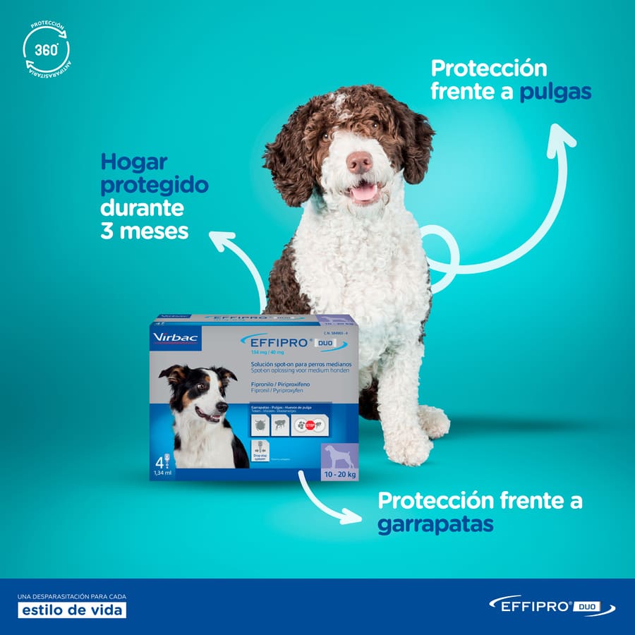 Pipetas antiparasitárias Effipro Duo para cães
