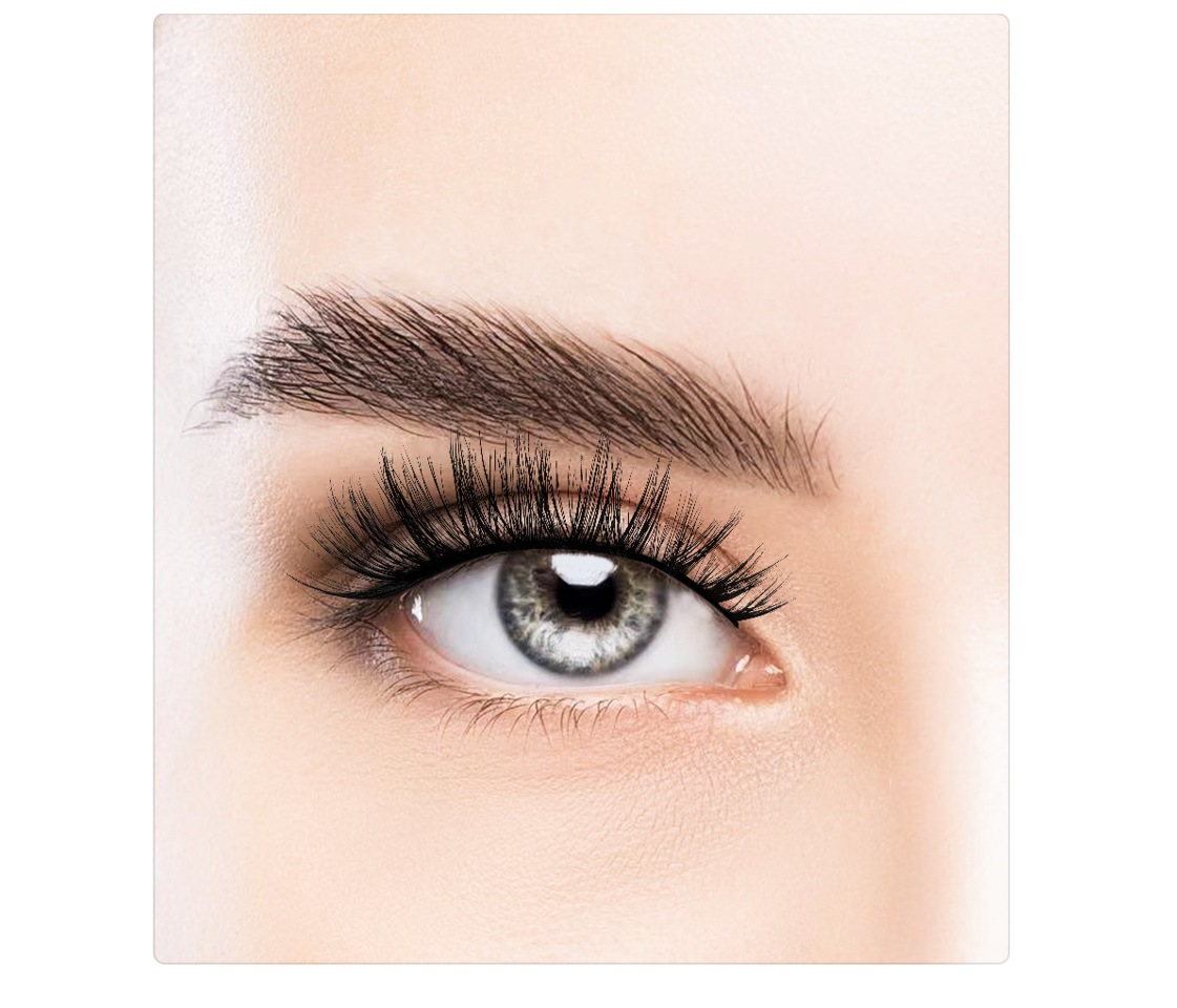 Dashy - 2 x Wildcat Faux Lash