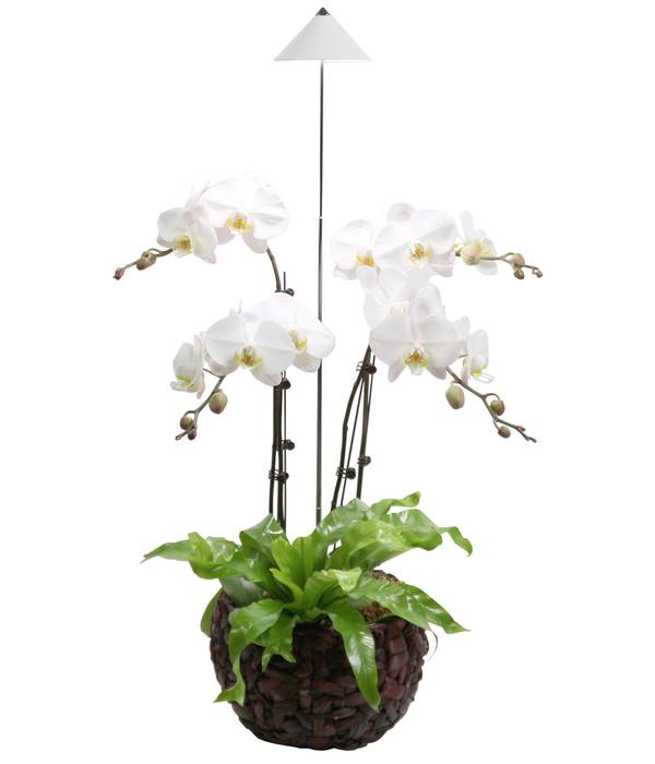 Venso LED-Pflanzenlampe