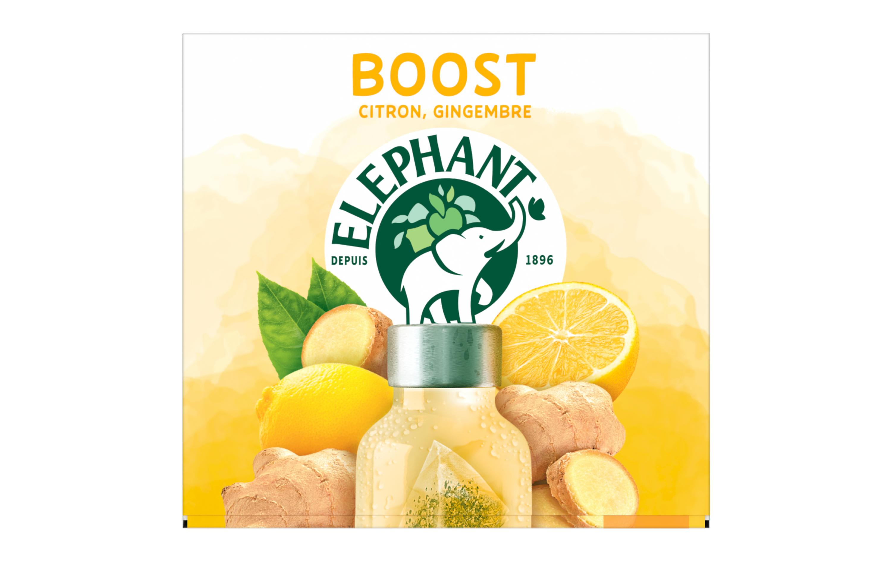 Teebeutel Cold Infusion a Froid Boost 15 StückTee mit Zitrone und Ingwer