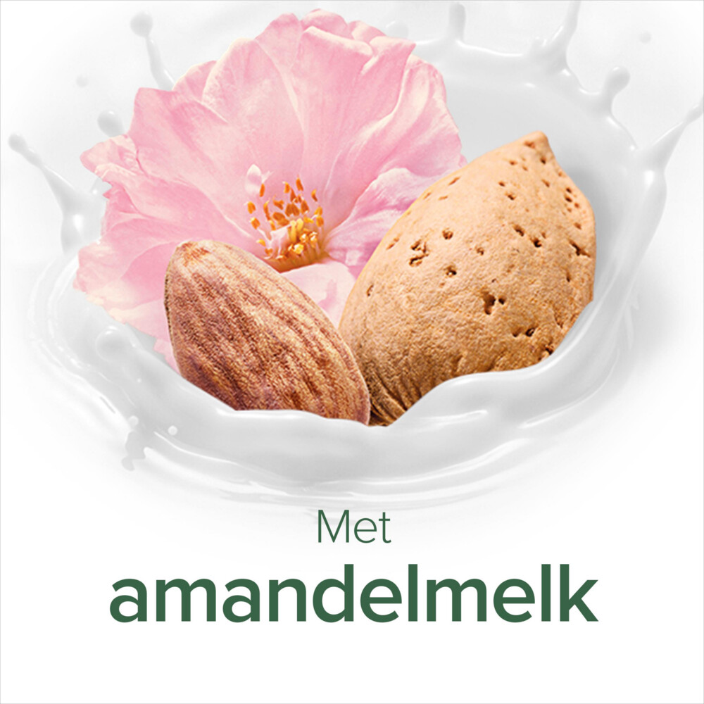 6x Palmolive Handzeep Navulling Naturals Amandel & melk300 ml