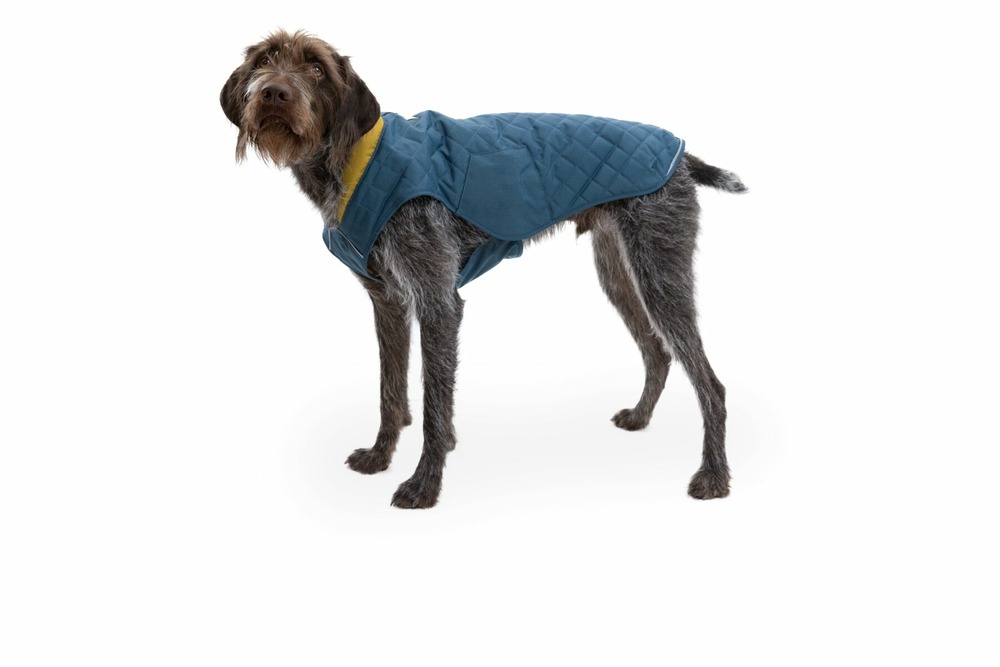 Veste matelassée stumptown™ résistant aux intempéries avec passage pour laisse. Couleur: orion blue (bleu marine), taille: m