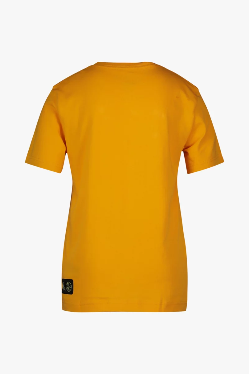 JORDAN Paris Saint Germain Kinder T-Shirt