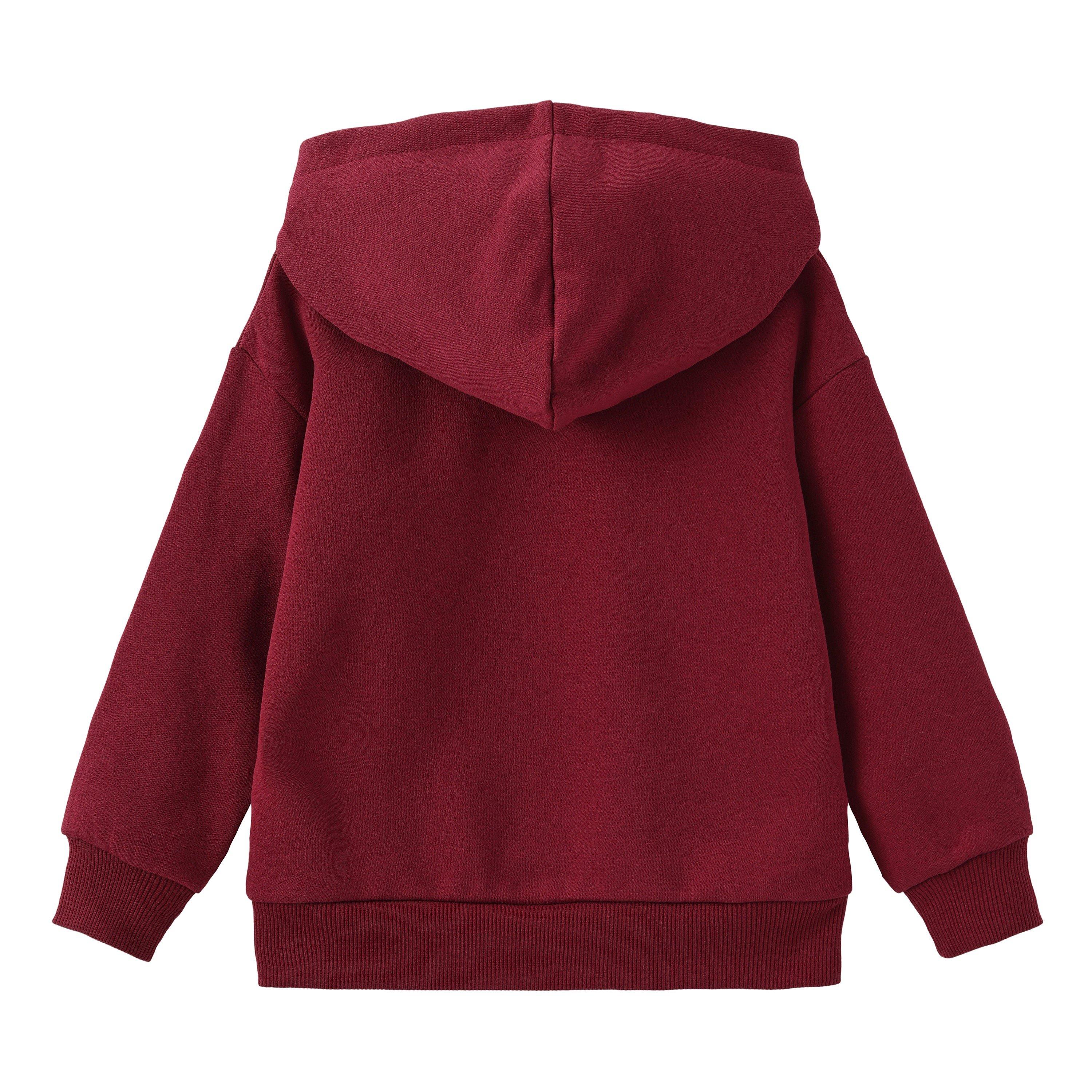 Character Fleece Lined Hoodie for Boys