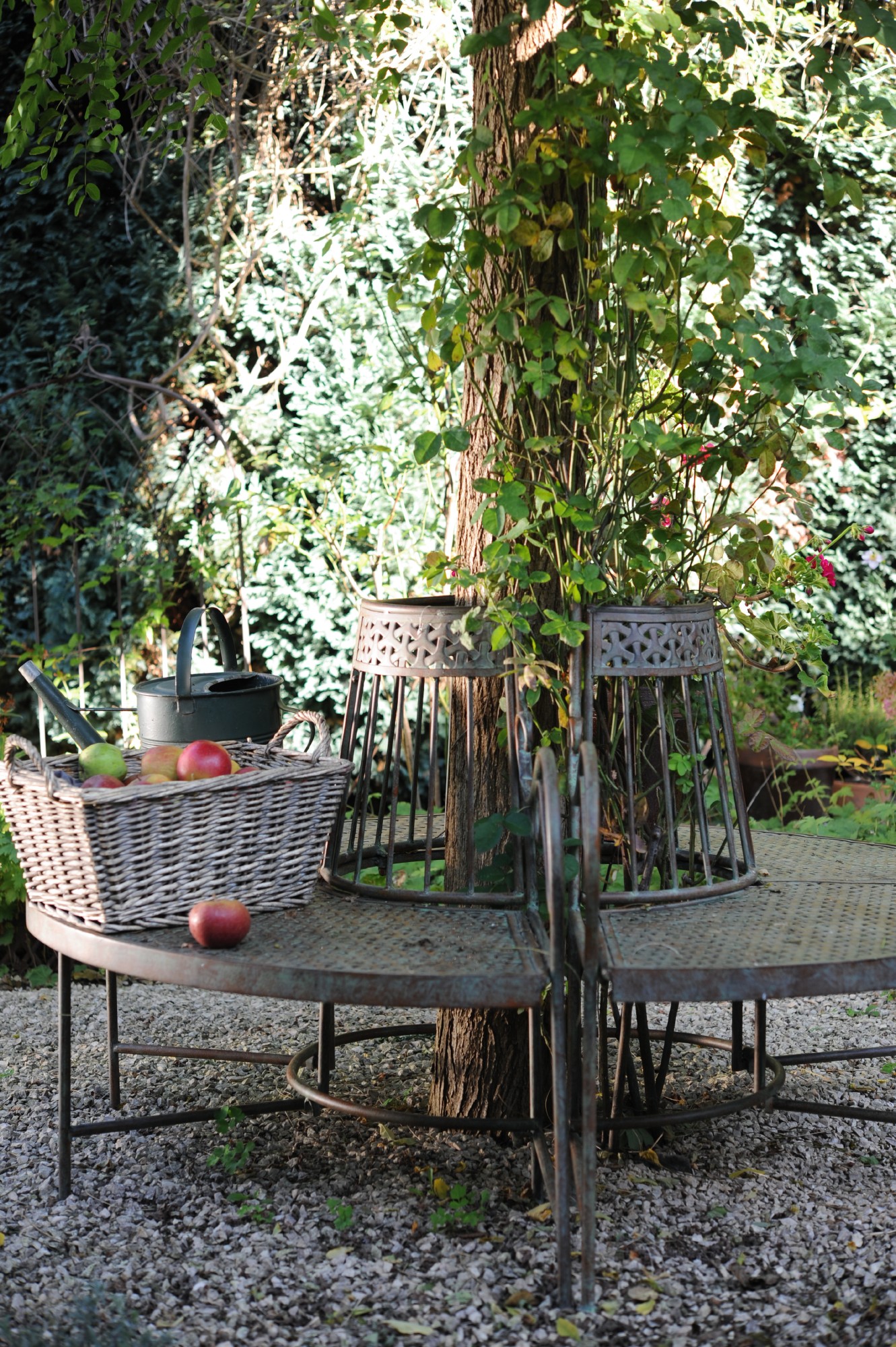Baum-Bank-Hälfte 'Minou', kupfer, L 142 cm, B 71 cm, H 84 cm günstig bestellen