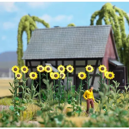 Busch Riesen-Sonnenblumen