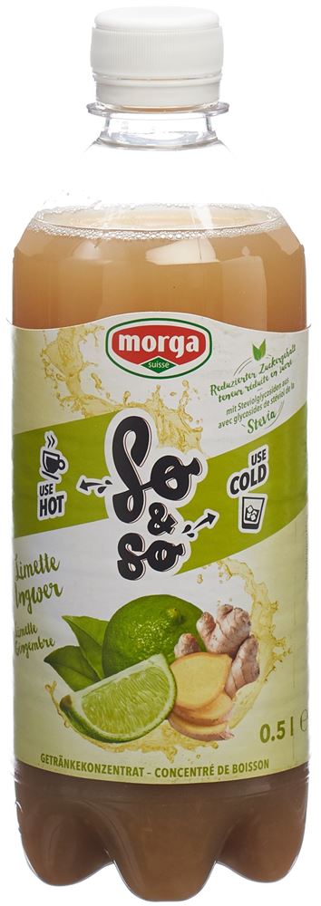 SO&SO Limette-Ingwer Konz mit Stevia Fl 5 dl