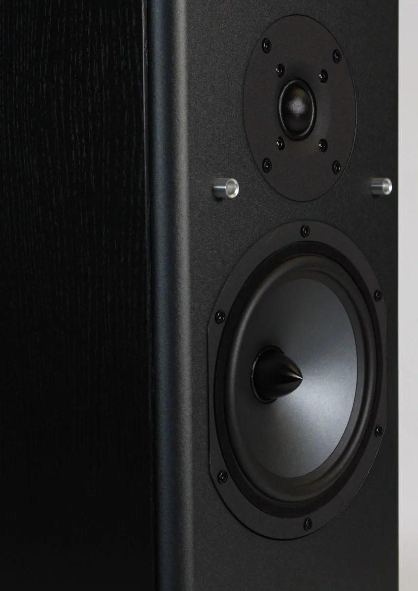 Elipson Prestige 3i Noir (la paire) Enceintes colonne