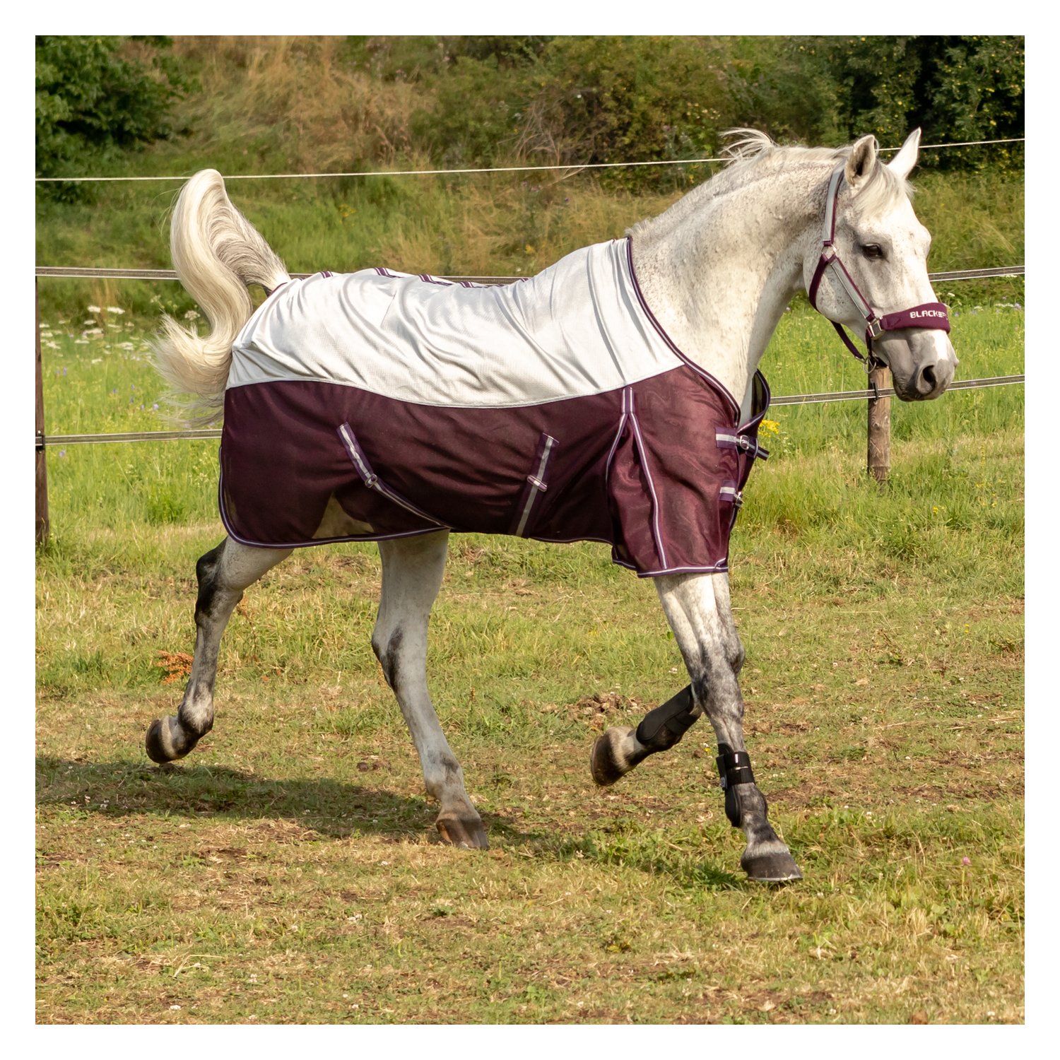 IRISh INNOVATION Fliegendecke Cooler - silver/plum