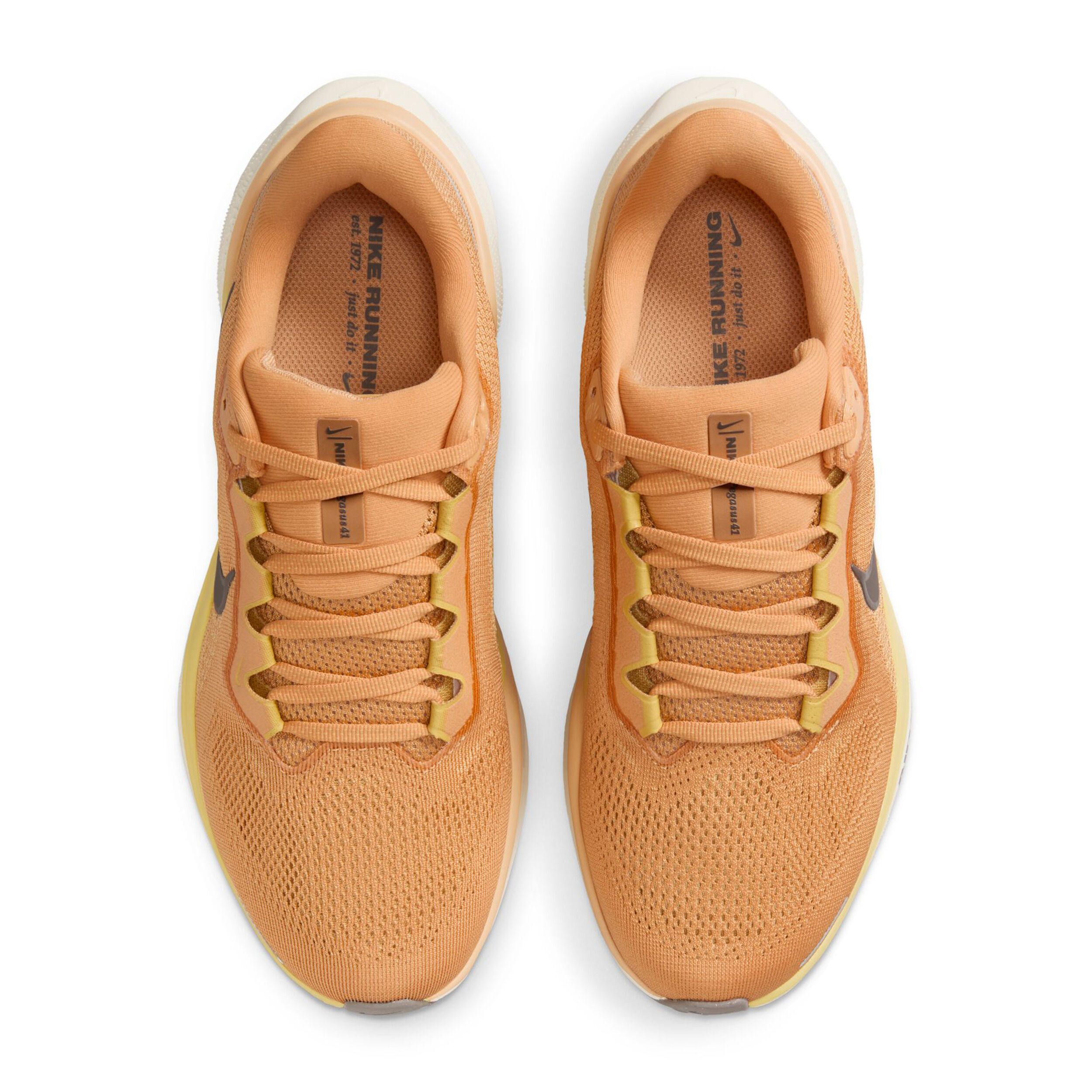 Nike Pegasus 41 Chaussure De Running Sans Stabilisateurs Femmes - Rouille, Or