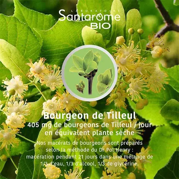 Santarome Bio - Broto de Tília Orgânico - Gemoterapia - Frasco de 30ml