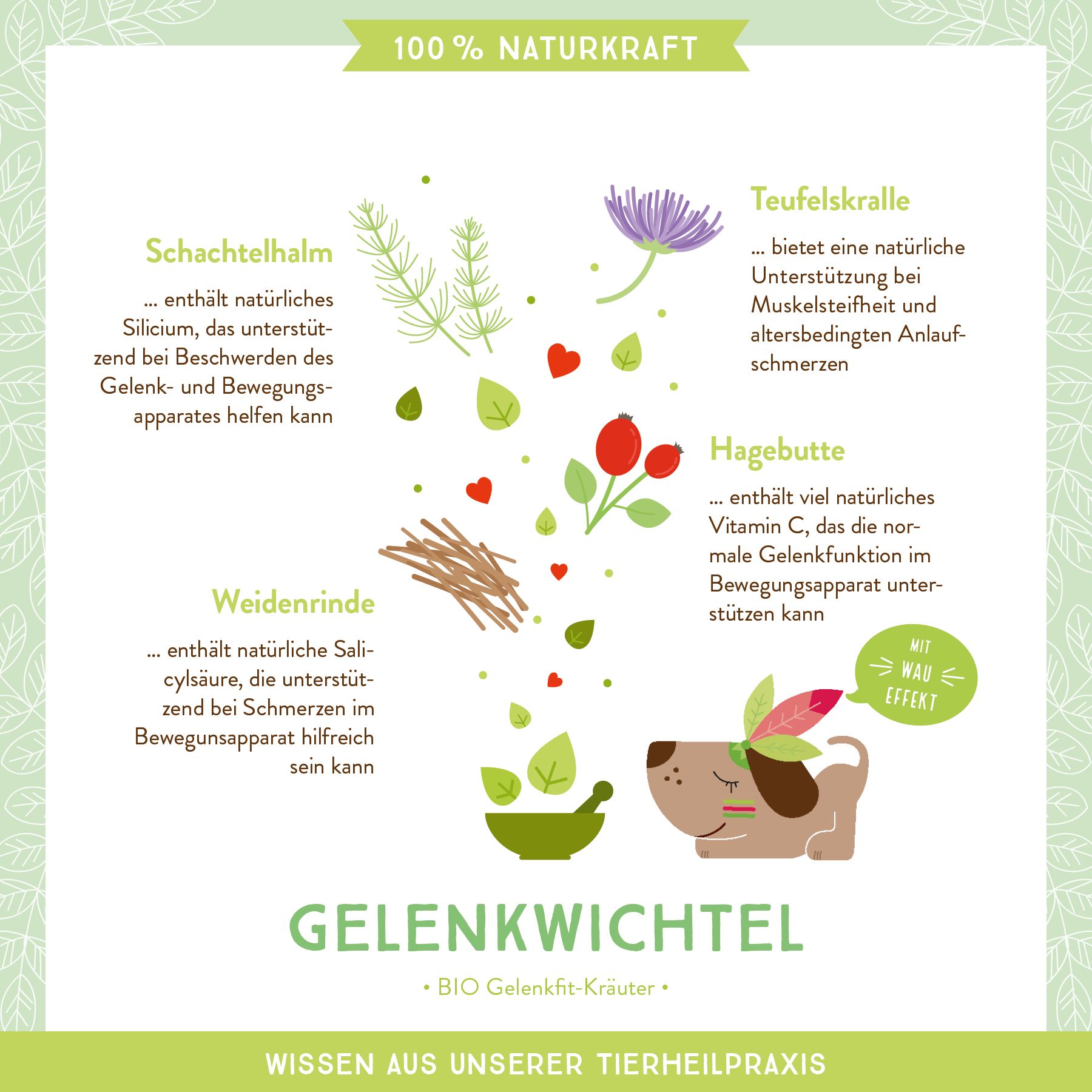 AniCanis Bio Gelenkkräuter Gelenkwichtel für Hunde
