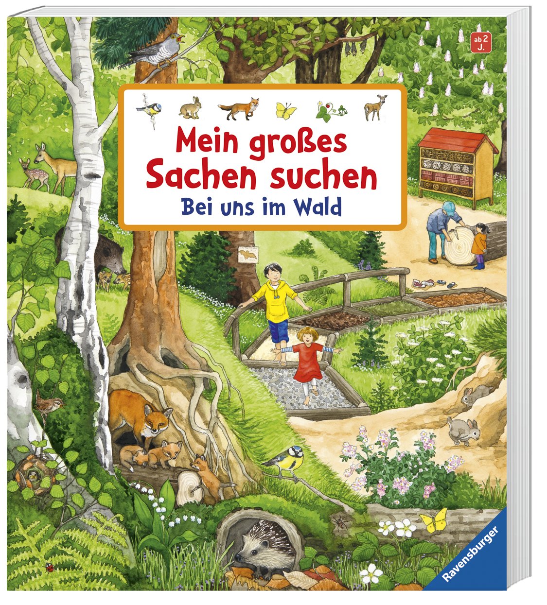Mein großes Sachen suchen: Bei uns im Wald