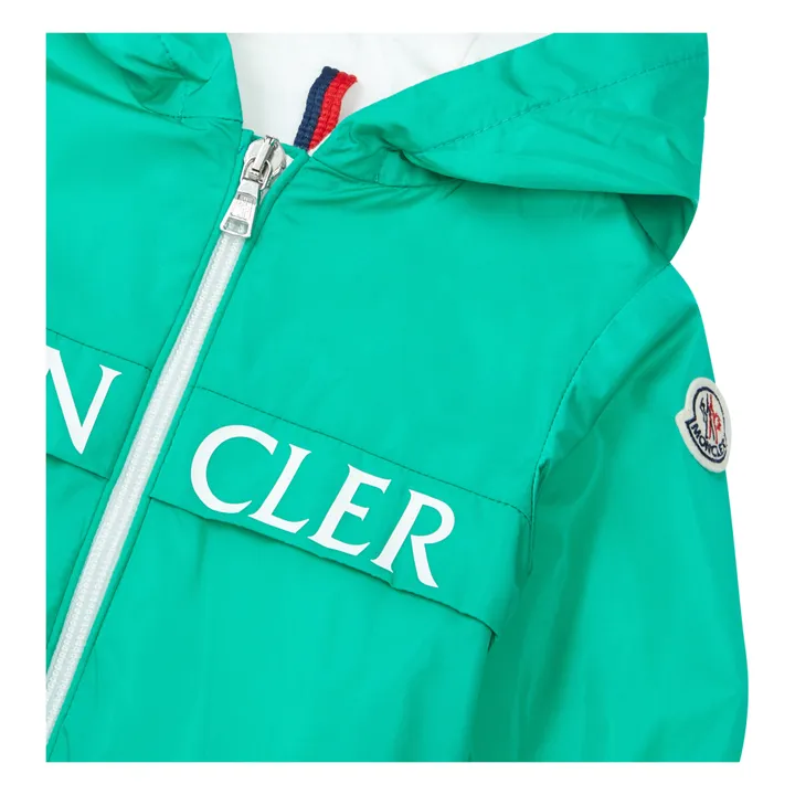 Moncler Veste Erdvile | Vert