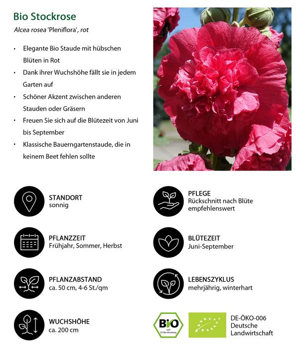 Bio Stauden-Set Bunter Landhausgarten,